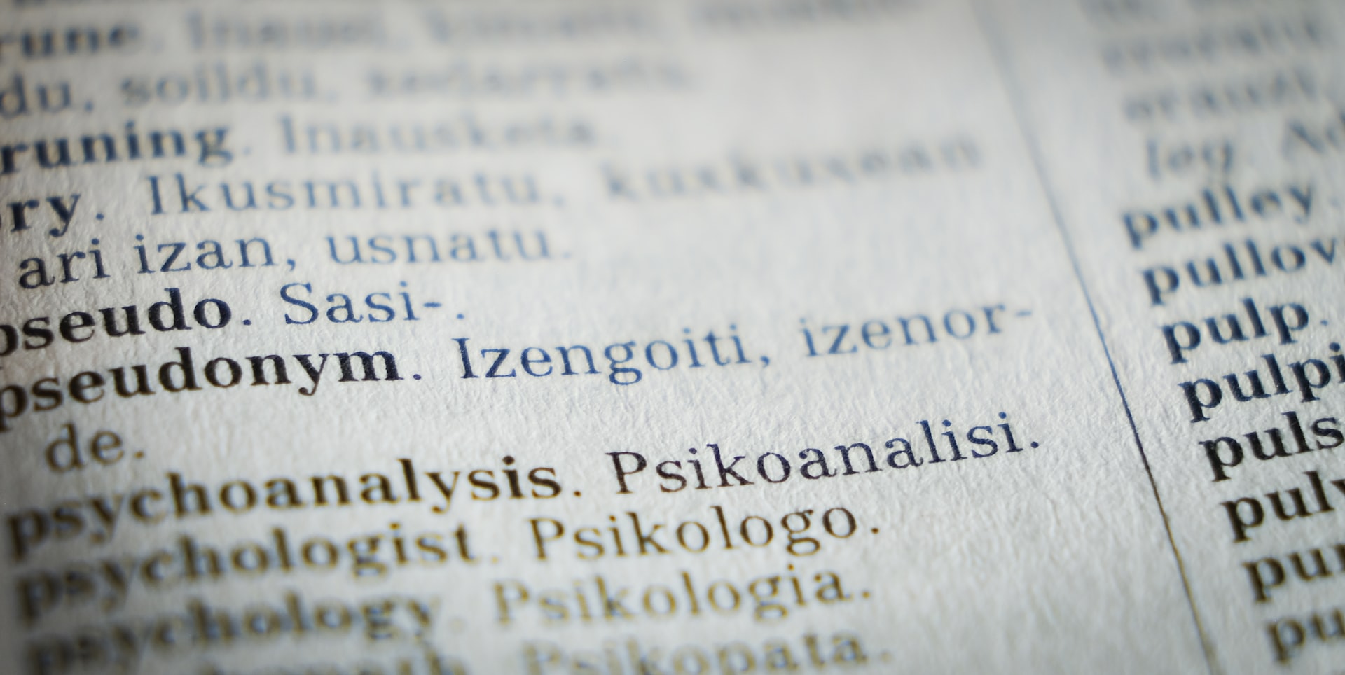 The Role of a Terminology Database in Your Technical Translation